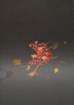 51 photo51_small.jpg